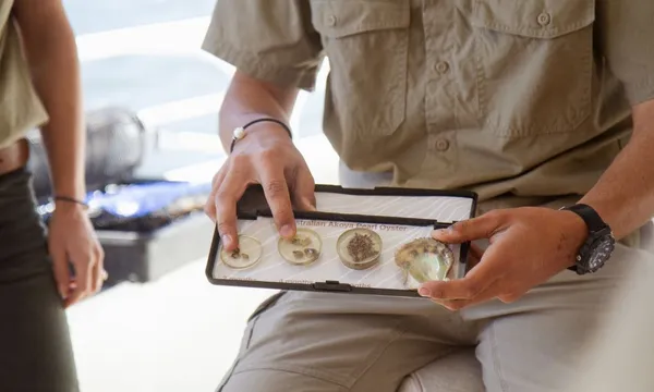 Broken Bay Pearl Oyster Farm Cruise - 1 Hour