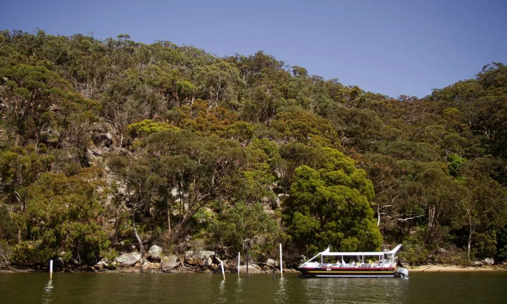 Broken Bay Pearl Oyster Farm Cruise - 1 Hour | Experience Oz-5