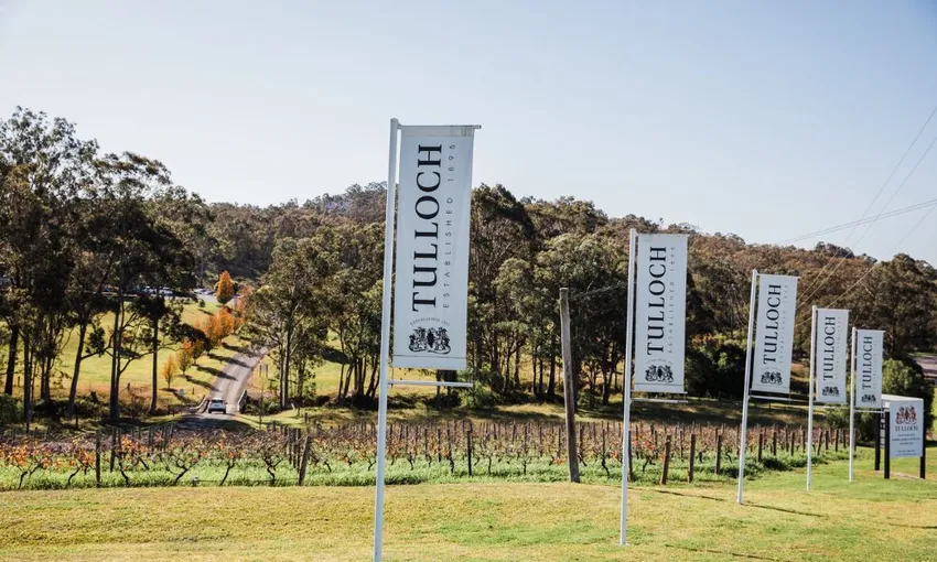 Tulloch Wines Hunter Valley Wine and Chocolate Pairing - Book Now | Experience Oz