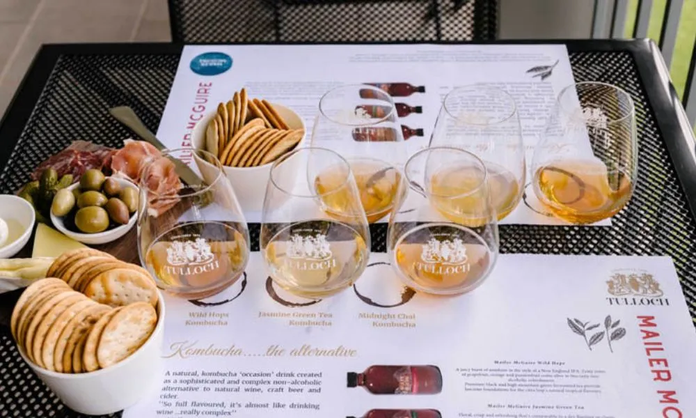Hunter Valley Wine Tasting with Lunch at Tulloch Wines | Experience Oz-3