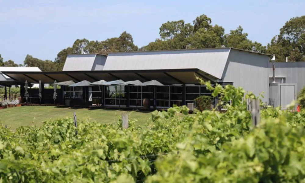 Hunter Valley Wine Tasting with Lunch at Tulloch Wines | Experience Oz-2