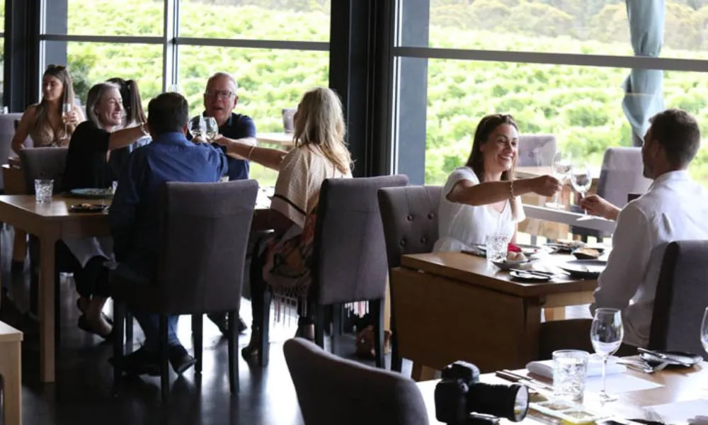 Hunter Valley Wine Tasting with Lunch at Tulloch Wines | Experience Oz-4