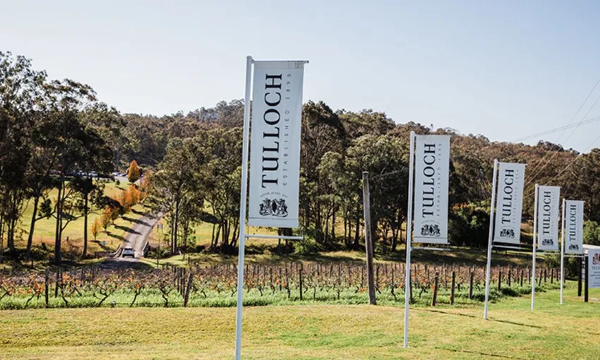 Hunter Heroes Tasting & Grazing Board at Tulloch Wines | Experience Oz