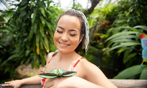 Cairns 4 Park Attraction Pass 