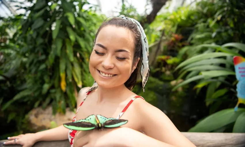 Cairns 4 Park Attraction Pass - Book Now | Experience Oz