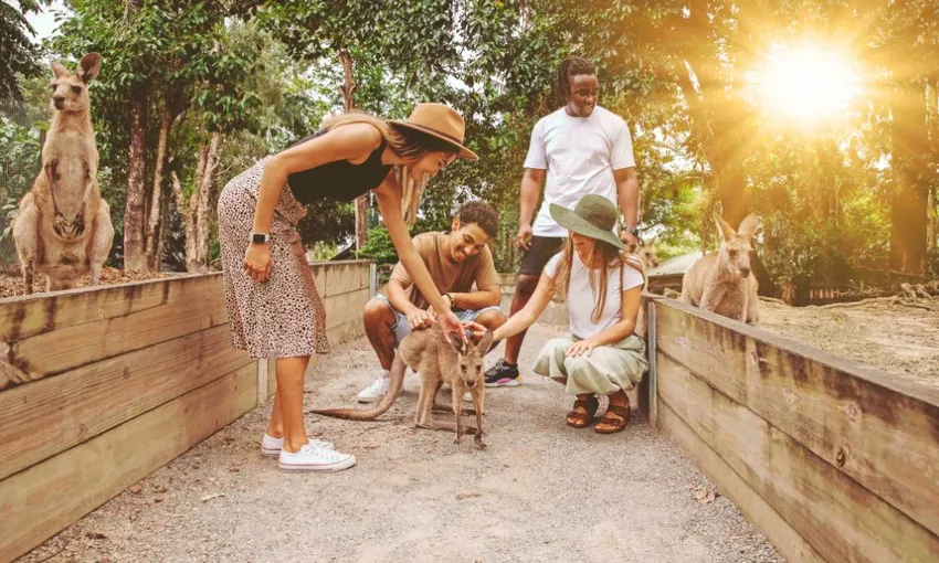 Cairns 4 Park Attraction Pass - Book Now | Experience Oz