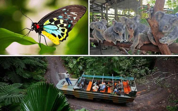 Cairns 4 Park Attraction Pass - Book Now | Experience Oz