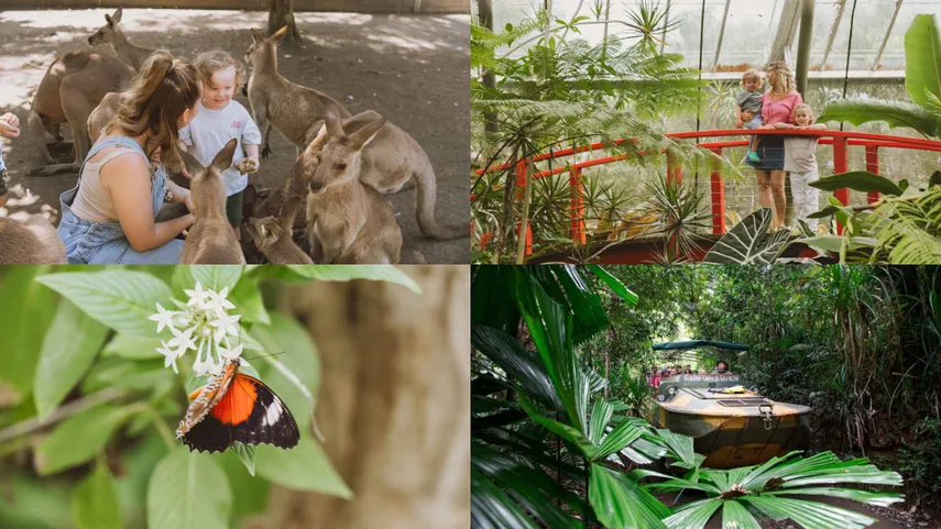 Cairns 4 Park Attraction Pass - Book Now | Experience Oz