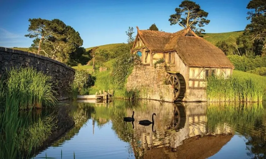 Small Group Hobbiton and Waitomo Day Tour from Auckland - Book Now | Experience Oz