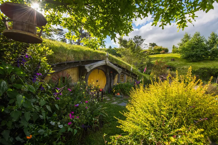 Small Group Hobbiton and Waitomo Day Tour from Auckland - Book Now | Experience Oz