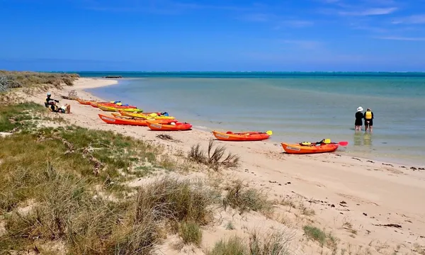 Ningaloo Reef Turtle, Kayak and Snorkel Half Day Tour