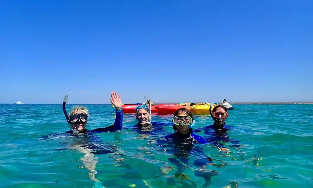 Ningaloo Reef Turtle, Kayak and Snorkel Half Day Tour | Experience Oz-6