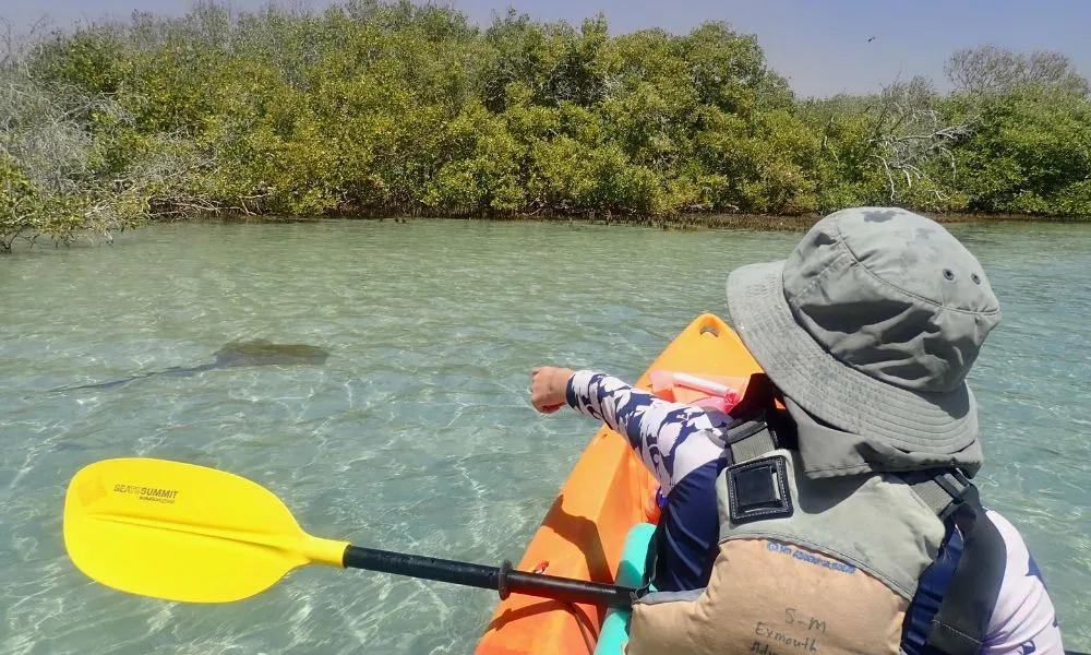 Ningaloo Reef Turtle, Kayak and Snorkel Half Day Tour | Experience Oz-5