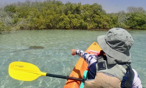 Ningaloo Reef Turtle, Kayak and Snorkel Half Day Tour