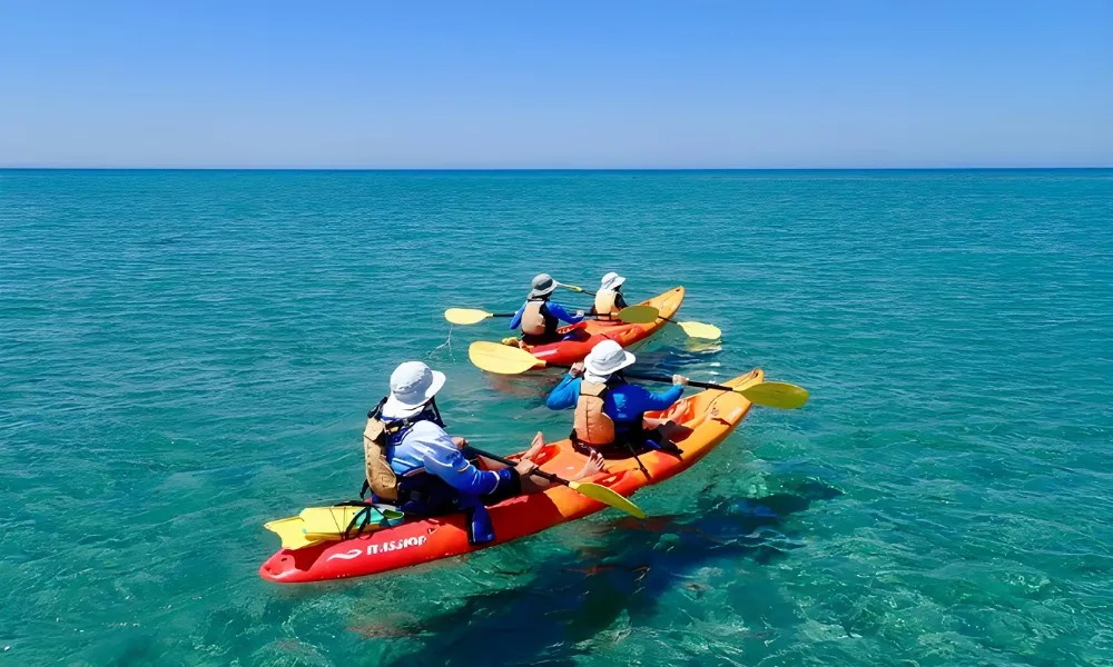 Ningaloo Reef Turtle, Kayak and Snorkel Half Day Tour | Experience Oz-1