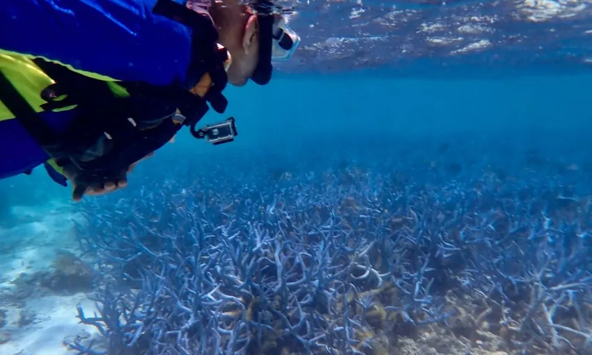 Ningaloo Reef and Range Full Day Tour with Lunch | Experience Oz