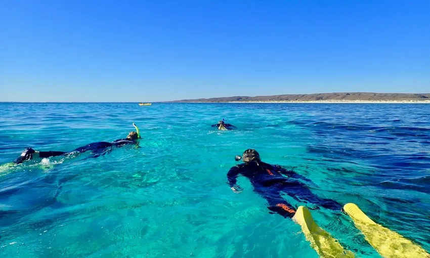 Ningaloo Reef and Range Full Day Tour with Lunch | Experience Oz