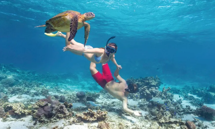 Ningaloo Reef Full Day Snorkel Adventure | Experience Oz
