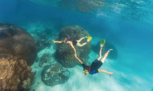 Ningaloo Reef Full Day Snorkel Adventure 