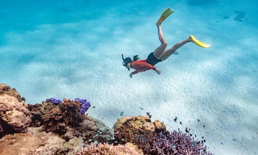 Ningaloo Reef Full Day Snorkel Adventure | Experience Oz