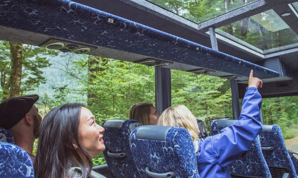 Pure Milford Coach and Cruise Tour From Te Anau | Experience Oz -4