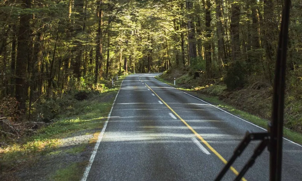 Pure Milford Coach and Cruise Tour From Te Anau | Experience Oz -2