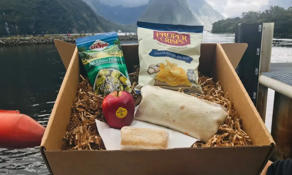 Queenstown Maiden of Milford Coach Tour - 5.45am | Experience Oz-5