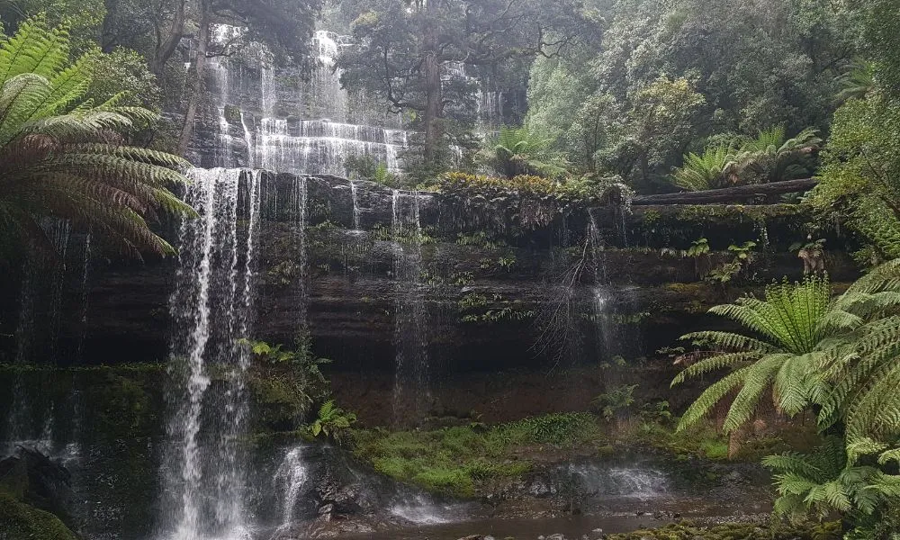 4 Day Wild Tasmania Tour with Accommodation & Transport | Experience OZ-4