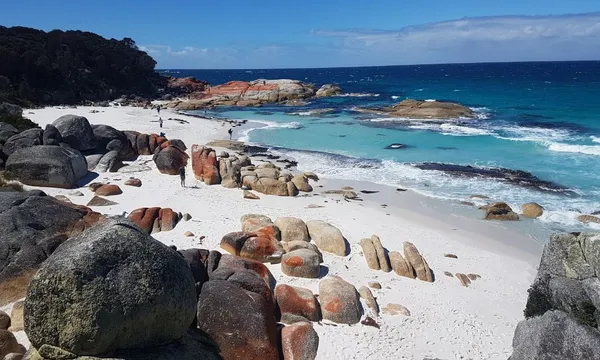 4 Day Wild Tasmania Tour with Accommodation & Transport