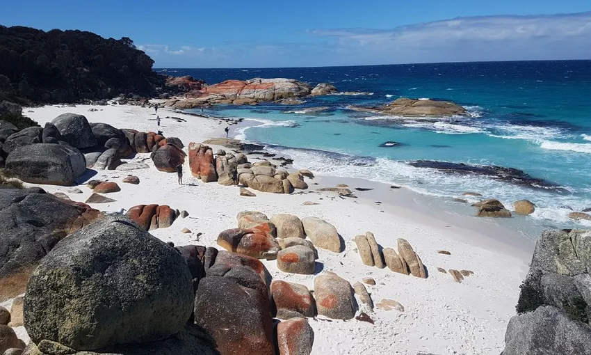 4 Day Wild Tasmania Tour with Accommodation & Transport | Experience OZ