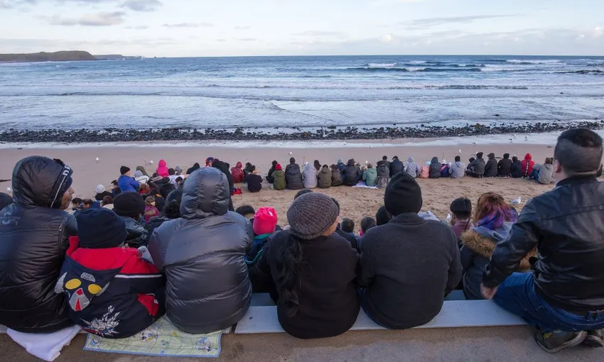 Puffing Billy And Phillip Island Penguin Parade Tour | Experience Oz