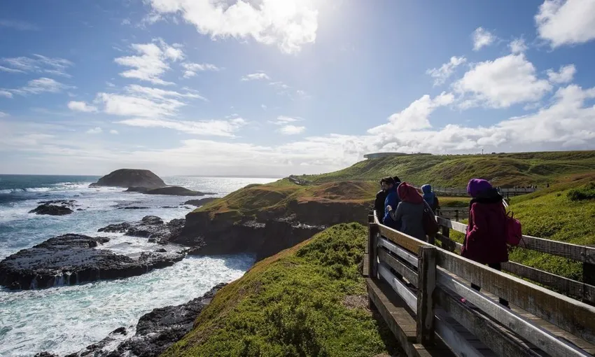 Puffing Billy And Phillip Island Penguin Parade Tour | Experience Oz