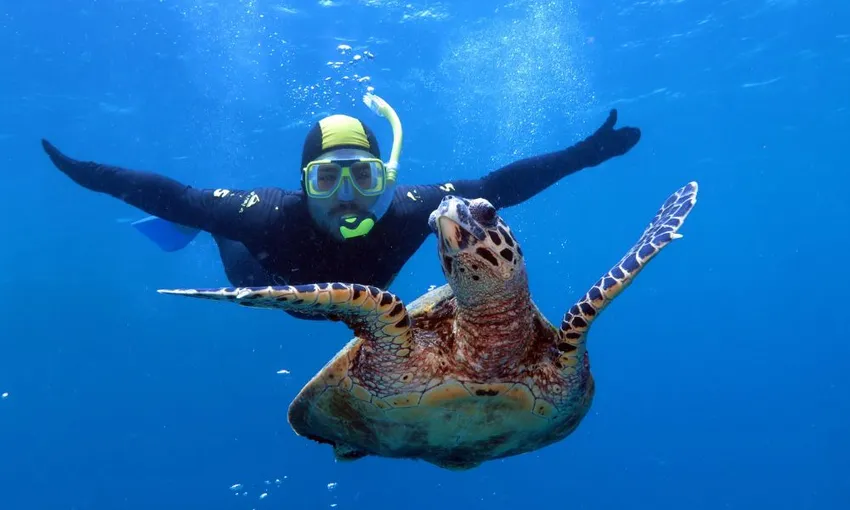Poseidon Great Barrier Reef Snorkel & Dive Cruise | Experience OZ