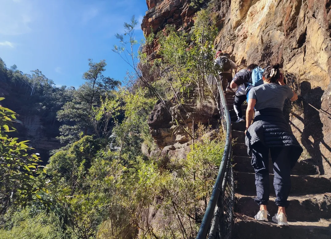 Blue Mountains Full Day Tour with Waterfall Walk | Experience Oz-9