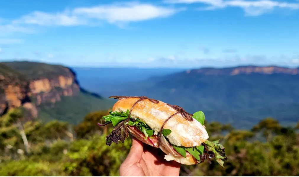 Blue Mountains Full Day Tour with Waterfall Walk | Experience Oz-17