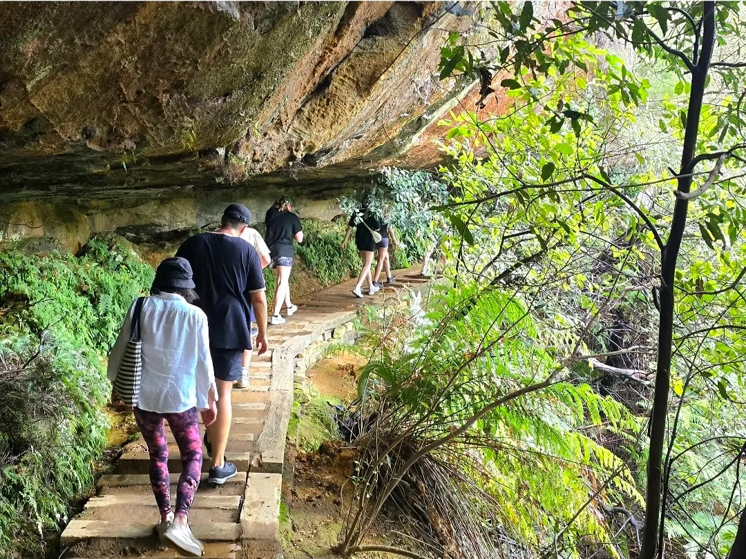 Blue Mountains Full Day Tour with Waterfall Walk | Experience Oz-19
