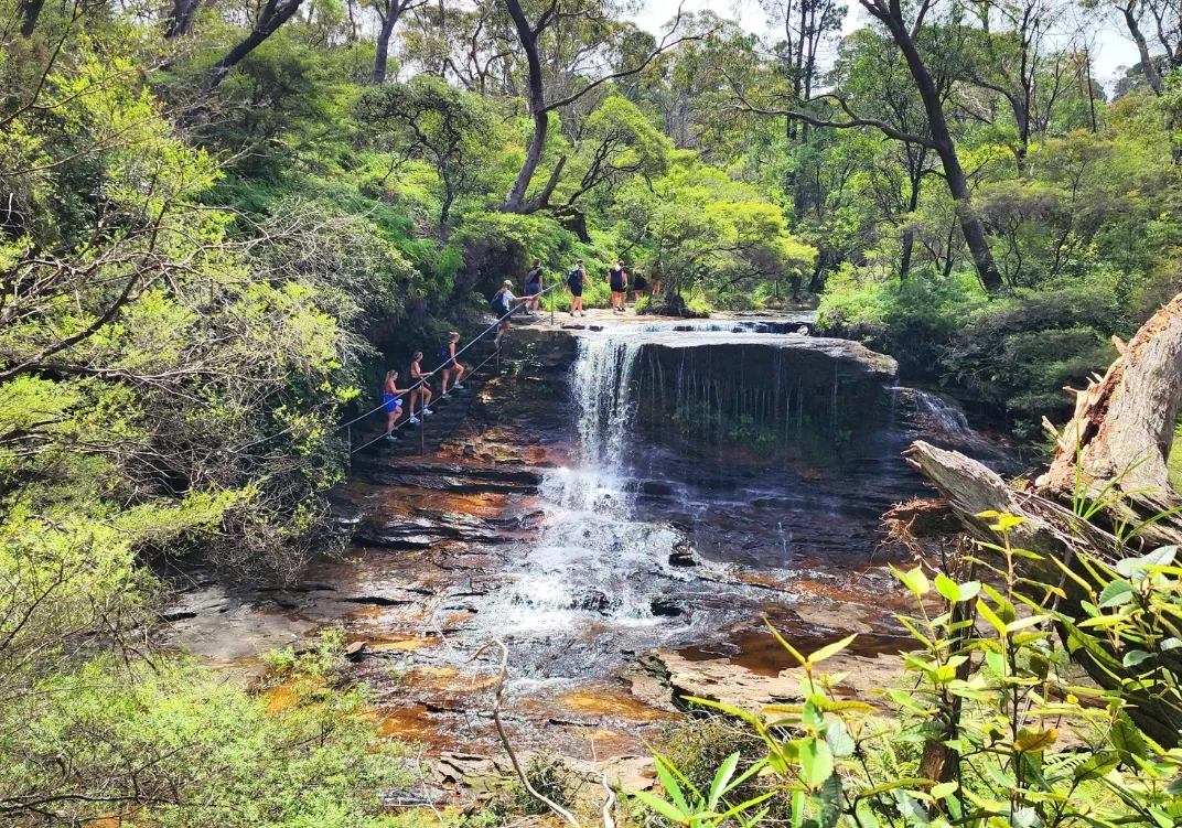 Blue Mountains Full Day Tour with Waterfall Walk | Experience Oz-20