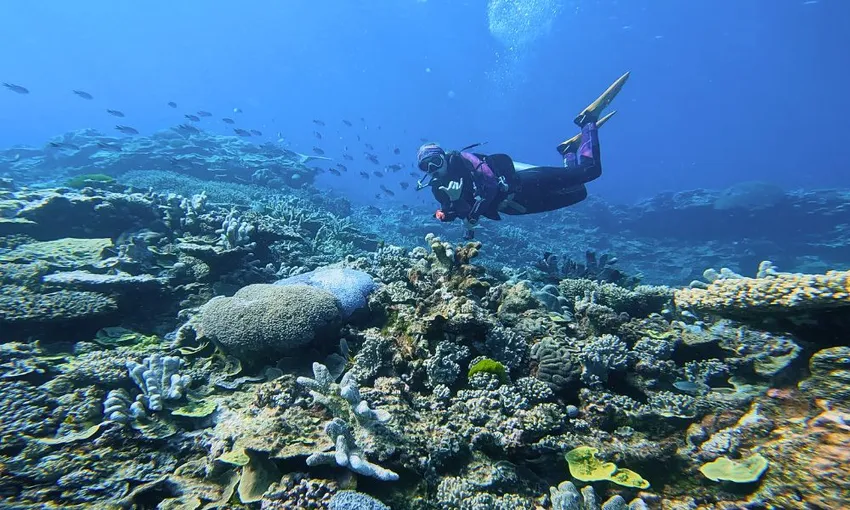 Southern Great Barrier Reef Certified Scuba Diving Adventure | Experience OZ
