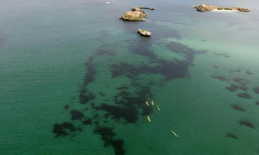 Perth Penguin and Seal Islands Sea Kayak Tour | Ex Oz