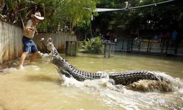 Crocodile Adventure Tour with Transfer - Half Day