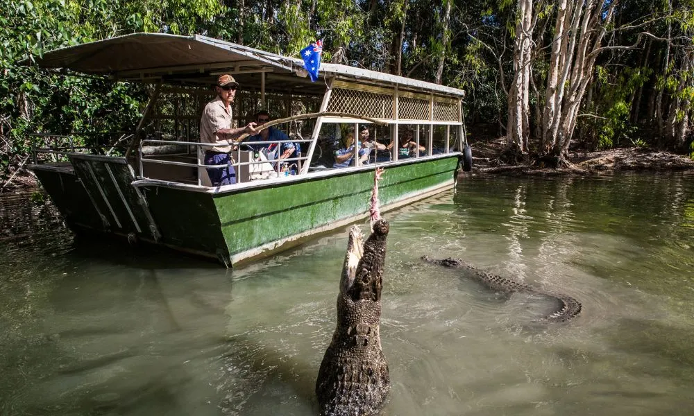 Crocodile Adventure Tour with Transfer - Half Day | Experience Oz-2