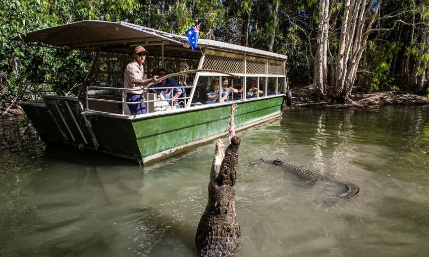 Crocodile Adventure Tour with Transfer - Half Day | Experience Oz