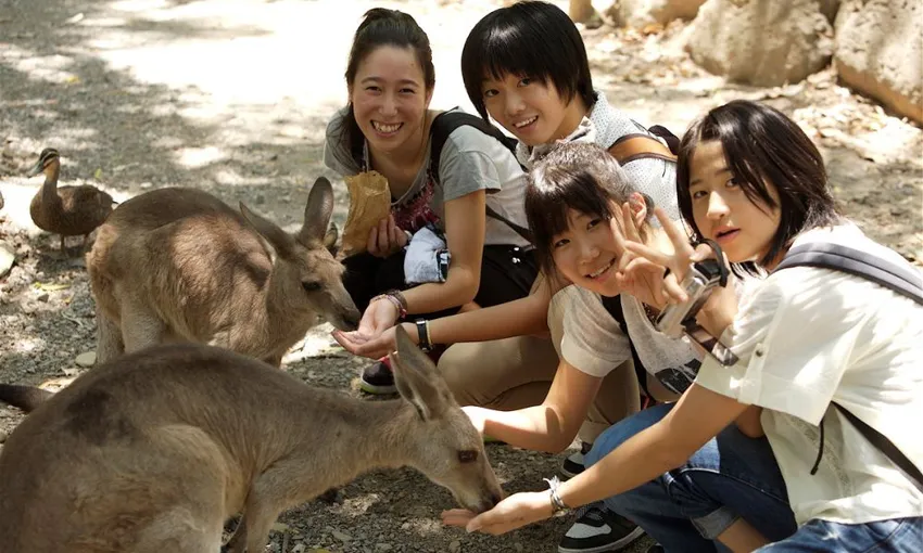 Crocodile Adventure Tour with Transfer - Half Day | Experience Oz