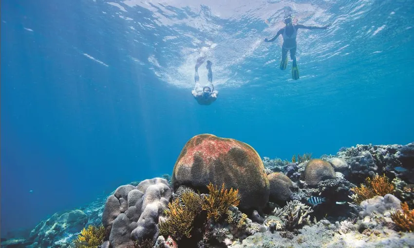 Great Keppel Island Day Trip Including Lunch & Snorkel Hire | Experience Oz