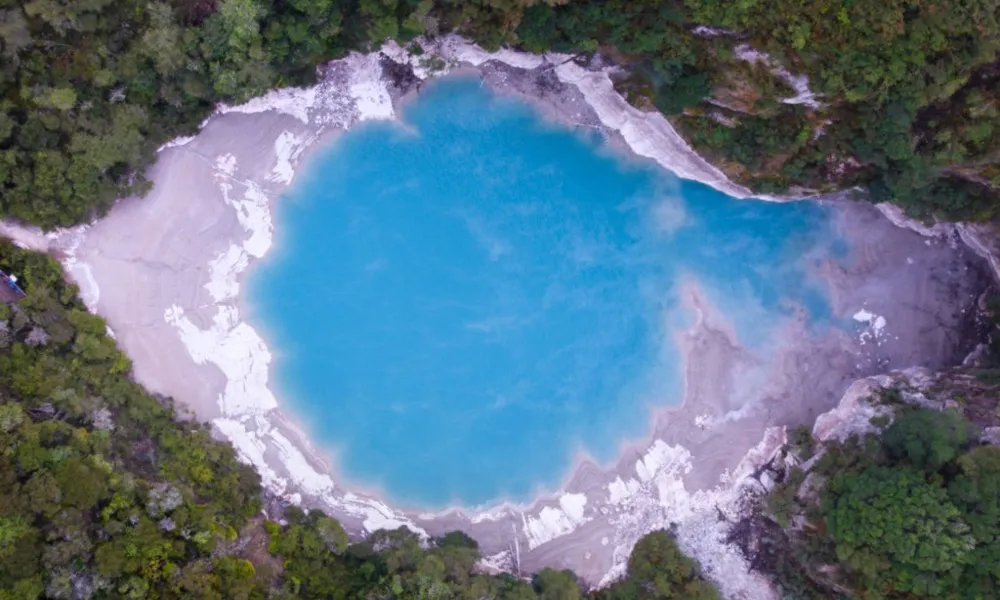 90 Minute Rotorua Float Plane Adventure - Book Now | Experience Oz-6