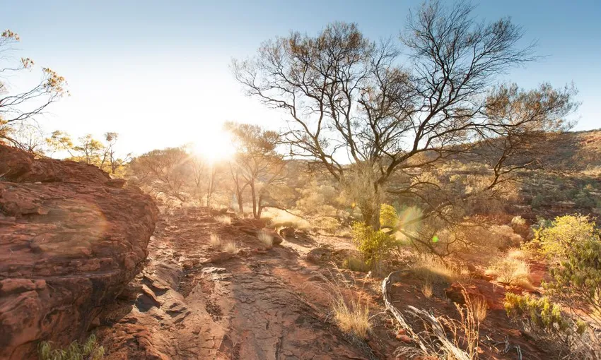 Palm Valley 4WD Day Tour from Alice Springs | Experience Oz