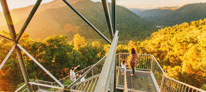 Mamu Tropical Skywalk General Admission - Buy Tickets | Experience Oz