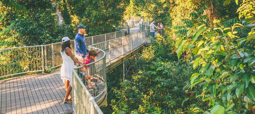 Mamu Tropical Skywalk General Admission - Buy Tickets | Experience Oz