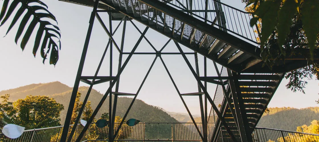 Mamu Tropical Skywalk General Admission - Buy Tickets | Experience Oz-4