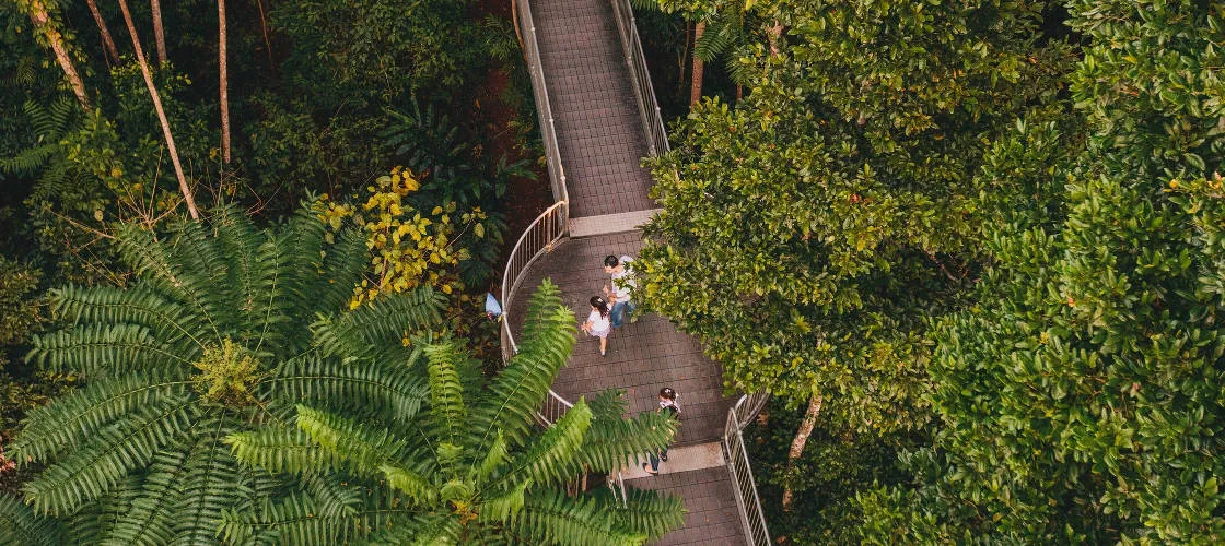 Mamu Tropical Skywalk General Admission - Buy Tickets | Experience Oz-5